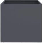 vidaXL Pflanzk&uuml;bel 2 Stk Anthrazit 49x47x46 cm Stahl 841564