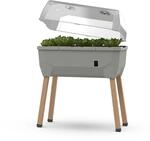 Gusta Garden Hochbeet Sammy Salad 40 L hellgrau