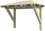 Skan Holz Haust&uuml;r-Vordach Wismar 1 Natur 258 cm x 126 cm