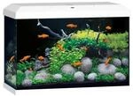 Juwel Aquarium-Set Primo 70 LED 2.0 Wei&szlig;