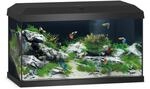 Juwel Aquarium Primo 60 LED 2.0 Schwarz