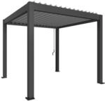 Biohort Pergola 3 m x 3 m Dunkelgrau-Metallic/Silber-Metallic