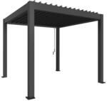 Biohort Pergola 3 m x 3 m Dunkelgrau-Metallic