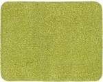 Astra-Kollektion Sauberlaufmatte Entra Saugstark Gr&uuml;n 60 cm x 75 cm