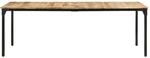 vidaXL Esstisch 220x100x76 cm Raues Mangoholz