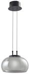 Lucande LED Pendelleuchte Dain 10030125 Modern in Alu aus Glas 1-flammig