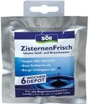 S&ouml;ll Wasseraufbereiter ZisternenFrisch 1 Tab