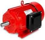 EBERTH Elektromotor 400V mit 3 kW Leistung 3-Phasen Drehzahl 2880 U/min