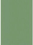 Erismann Vliestapete Martinique Colour Passion 10,05 m x 0,53 m Gr&uuml;n