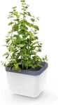 Gusta Garden Anzuchtgef&auml;&szlig; Herbs Buddy 16,3 x 14,5 x 14,9 cm Wei&szlig;