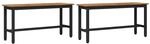 vidaXL Esstischbank 2 Stk Altholz 100 x 32,5 x 48,5 cm 873759