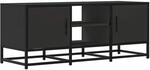 vidaXL TV-Schrank Schwarz 100x35x41 cm Holzwerkstoff und Metall 848834