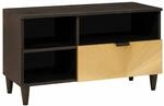 vidaXL TV-Schr&auml;nk Schwarz und Gold 80 x 33 x 46 cm Holzwerkstoff 4017845