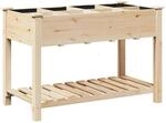 vidaXL Garten-Pflanzgef&auml;&szlig; mit Regal Beige 115 x 59 x 76,5 cm 42006580