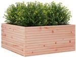 vidaXL Pflanzk&uuml;bel 100x100x46 cm Massivholz Douglasie 2153347