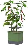Gusta Garden Chilitopf Charly Chili Pflanzentopf mit Rankhilfe Dunkelgr&uuml;n H&ouml;he