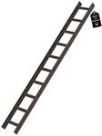 PROREGAL Dachleiter Braun 10 Sprossen