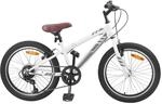 vidaXL Mountainbike 20 Zoll 6-Speed f&uuml;r 5-8 Jahre Alt Wei&szlig; 42009746