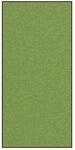 vidaXL Fu&szlig;matte Gr&uuml;n und Schwarz 120 x 250 cm Polyamid und PVC 4100729
