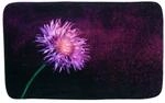 Sanilo Badteppich Purple Dust 50 x 80 cm