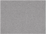 Primaflor PVC Oakland Granit Grau 2,00m x 6,00m