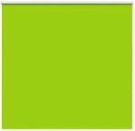 vidaXL Verdunkelungsrollo Gr&uuml;n 155x150cm Stoffbreite 151,6cm Polyester 4011269