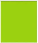 vidaXL Verdunkelungsrollo Gr&uuml;n 125x150cm Stoffbreite 121,6cm Polyester 4011263