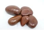 Aquagart 200kg Polierter Kiesel Flusskiesel Kieselsteine Gartenkies Zierkies Rot