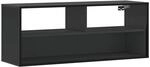 vidaXL TV-Schrank Schwarz 100x31x39,5 cm Holzwerkstoff und Metall 848934
