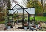 Halls Gew&auml;chshaus Icon Gardenhouse 8 Schwarz 13 m&sup2;