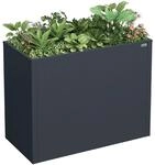 weka Metall-Hochbeet Gary M, 100 x 50 x 77 cm, Metall, Anthrazit
