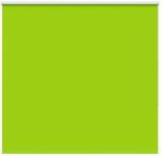 vidaXL Verdunkelungsrollo Gr&uuml;n 160x130cm Stoffbreite 156,6cm Polyester 4011244