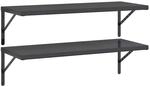 vidaXL Wandregale 2 Stk 100x40 cm Schwarz Edelstahl 3214511