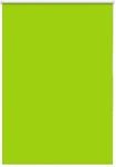 vidaXL Verdunkelungsrollo Gr&uuml;n 115x130cm Stoffbreite 110,7cm Polyester 4011235