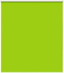 vidaXL Verdunkelungsrollo Gr&uuml;n 125x175cm Stoffbreite 121,6cm Polyester 4011289