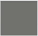 vidaXL Verdunkelungsrollo Grau 160x175cm Stoffbreite 156,6cm Polyester 4011166