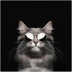 SANILO Badematte Cool Cat