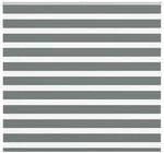 vidaXL Doppelrollo Dunkelgrau 165x100 cm Stoffbreite 160,9 cm Polyester 4014118