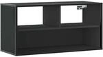 vidaXL TV-Schrank Schwarz 80x31x39,5 cm Holzwerkstoff und Metall 848924