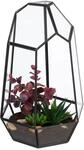 Relaxdays Pflanzenterrarium Glas Schwarz 25 cm x 17 cm x 15 cm