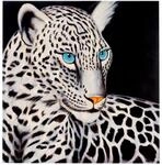 MCW &Ouml;lgem&auml;lde Wei&szlig;er Leopard Handgemalt