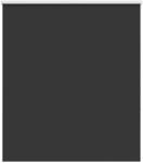 vidaXL Verdunkelungsrollo Schwarz 120x130 cm Stoffbreite 116,6 cm 4010846