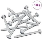 vidaXL Holzschraube 3273 Stk Silber 9,8 x 53 mm Stahl 864522
