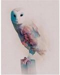 Komar Wandbild Animals Forest Owl 40 x 50 cm