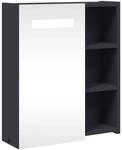 vidaXL Spiegelschrank mit LED-Beleuchtung Grau 45x13x52 cm 357966