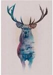 Komar Wandbild Animals Deer 50 x 70 cm