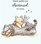 Komar Wandbild Winnie Pooh Path 30 x 40 cm
