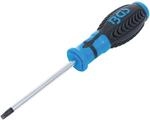 BGS Schraubendreher T Profil F&uuml;r Torx T30 Klingenl&auml;nge 100 Mm 4922