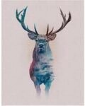 Komar Wandbild Animals Deer 40 x 50 cm
