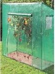Westfalia Tomaten-Gew&Auml;Chshaus GroSS 200 X 77 X 170 cm Kunststoff